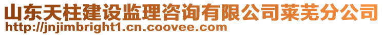 山東天柱建設(shè)監(jiān)理咨詢有限公司萊蕪分公司