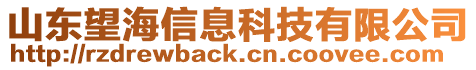 山東望海信息科技有限公司