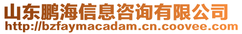 山東鵬海信息咨詢有限公司