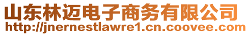 山東林邁電子商務(wù)有限公司