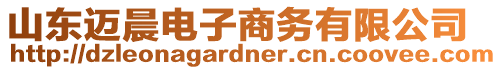 山東邁晨電子商務(wù)有限公司