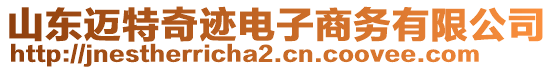 山東邁特奇跡電子商務(wù)有限公司