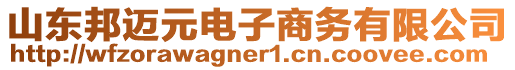 山東邦邁元電子商務(wù)有限公司