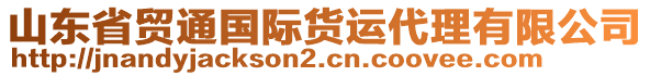 山東省貿(mào)通國(guó)際貨運(yùn)代理有限公司