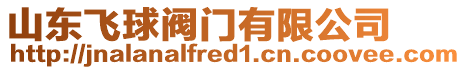 山東飛球閥門有限公司