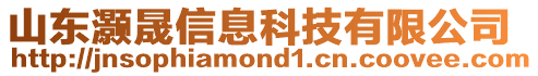 山東灝晟信息科技有限公司