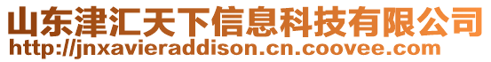 山东津汇天下信息科技有限公司