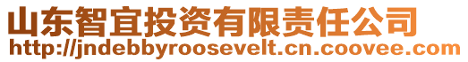 山東智宜投資有限責(zé)任公司