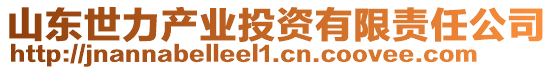 山東世力產(chǎn)業(yè)投資有限責任公司