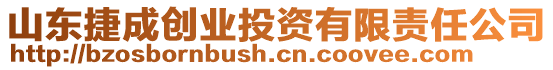 山東捷成創(chuàng)業(yè)投資有限責任公司