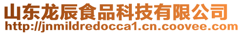 山東龍辰食品科技有限公司