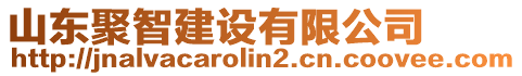 山東聚智建設(shè)有限公司