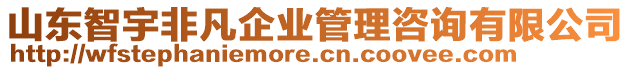 山東智宇非凡企業(yè)管理咨詢有限公司