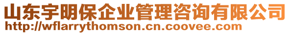 山東宇明保企業(yè)管理咨詢有限公司