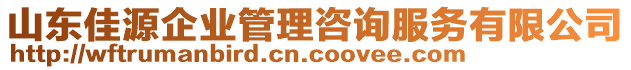 山東佳源企業(yè)管理咨詢服務(wù)有限公司