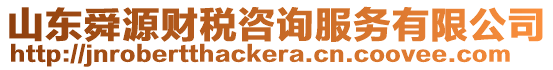 山東舜源財(cái)稅咨詢服務(wù)有限公司