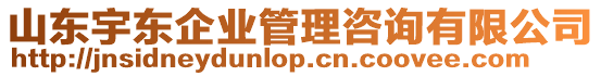 山東宇東企業(yè)管理咨詢(xún)有限公司