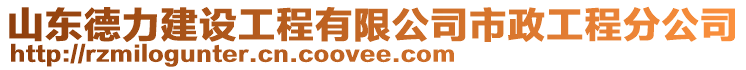 山東德力建設工程有限公司市政工程分公司