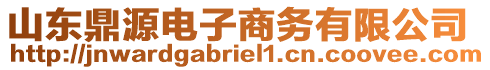 山東鼎源電子商務(wù)有限公司