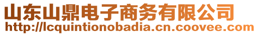 山東山鼎電子商務(wù)有限公司