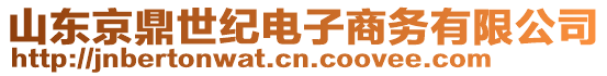 山東京鼎世紀(jì)電子商務(wù)有限公司