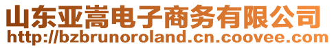 山東亞嵩電子商務有限公司