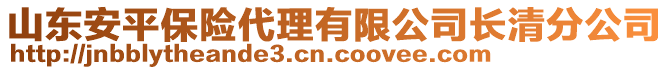 山東安平保險(xiǎn)代理有限公司長(zhǎng)清分公司