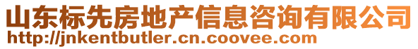 山東標(biāo)先房地產(chǎn)信息咨詢有限公司