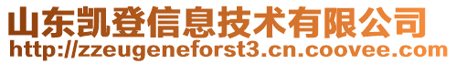 山東凱登信息技術(shù)有限公司