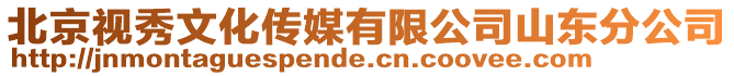 北京視秀文化傳媒有限公司山東分公司