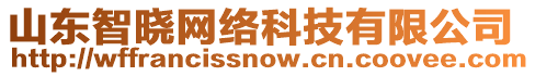 山東智曉網絡科技有限公司