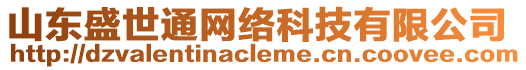 山東盛世通網絡科技有限公司