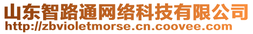 山東智路通網(wǎng)絡(luò)科技有限公司