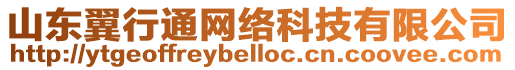 山東翼行通網絡科技有限公司