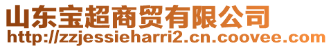 山東寶超商貿(mào)有限公司