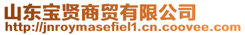 山東寶賢商貿有限公司