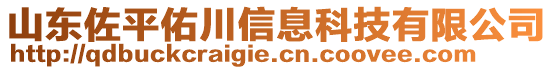 山東佐平佑川信息科技有限公司