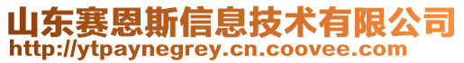 山東賽恩斯信息技術有限公司