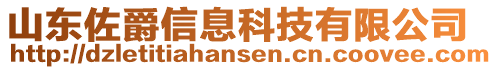 山東佐爵信息科技有限公司