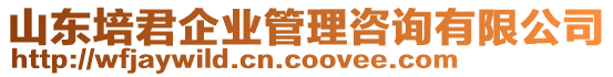 山東培君企業(yè)管理咨詢有限公司