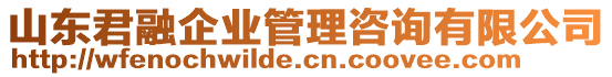 山東君融企業(yè)管理咨詢有限公司