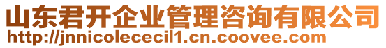 山東君開企業(yè)管理咨詢有限公司