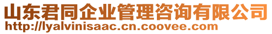 山東君同企業(yè)管理咨詢有限公司