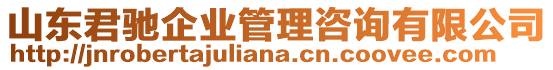 山東君馳企業(yè)管理咨詢有限公司