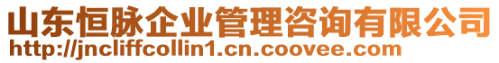 山東恒脈企業(yè)管理咨詢有限公司