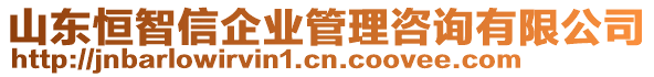 山東恒智信企業(yè)管理咨詢有限公司