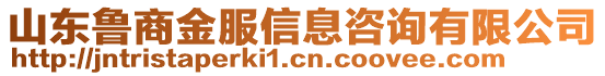 山東魯商金服信息咨詢有限公司