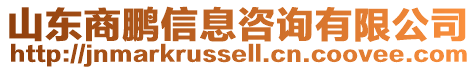 山東商鵬信息咨詢有限公司