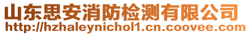 山東思安消防檢測(cè)有限公司