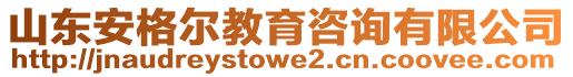 山東安格爾教育咨詢有限公司